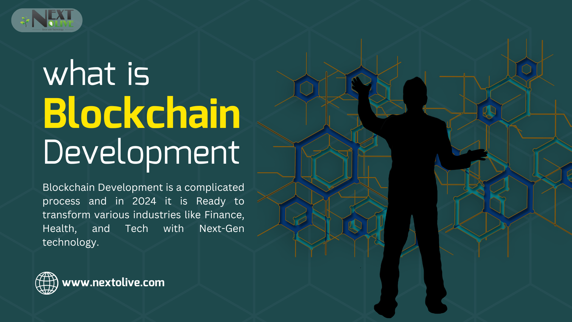 "Blockchain Development Explained" - A digital image featuring the title "What is Blockchain Development" with an illustration of a person standing in front of a network of interconnected hexagons, representing blockchain technology.