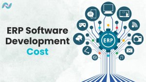Image Shows the ERP Software Development Cost via text and Illustration