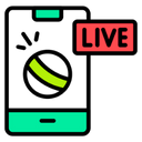 Live Match Integration