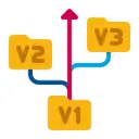 Version Control Practices